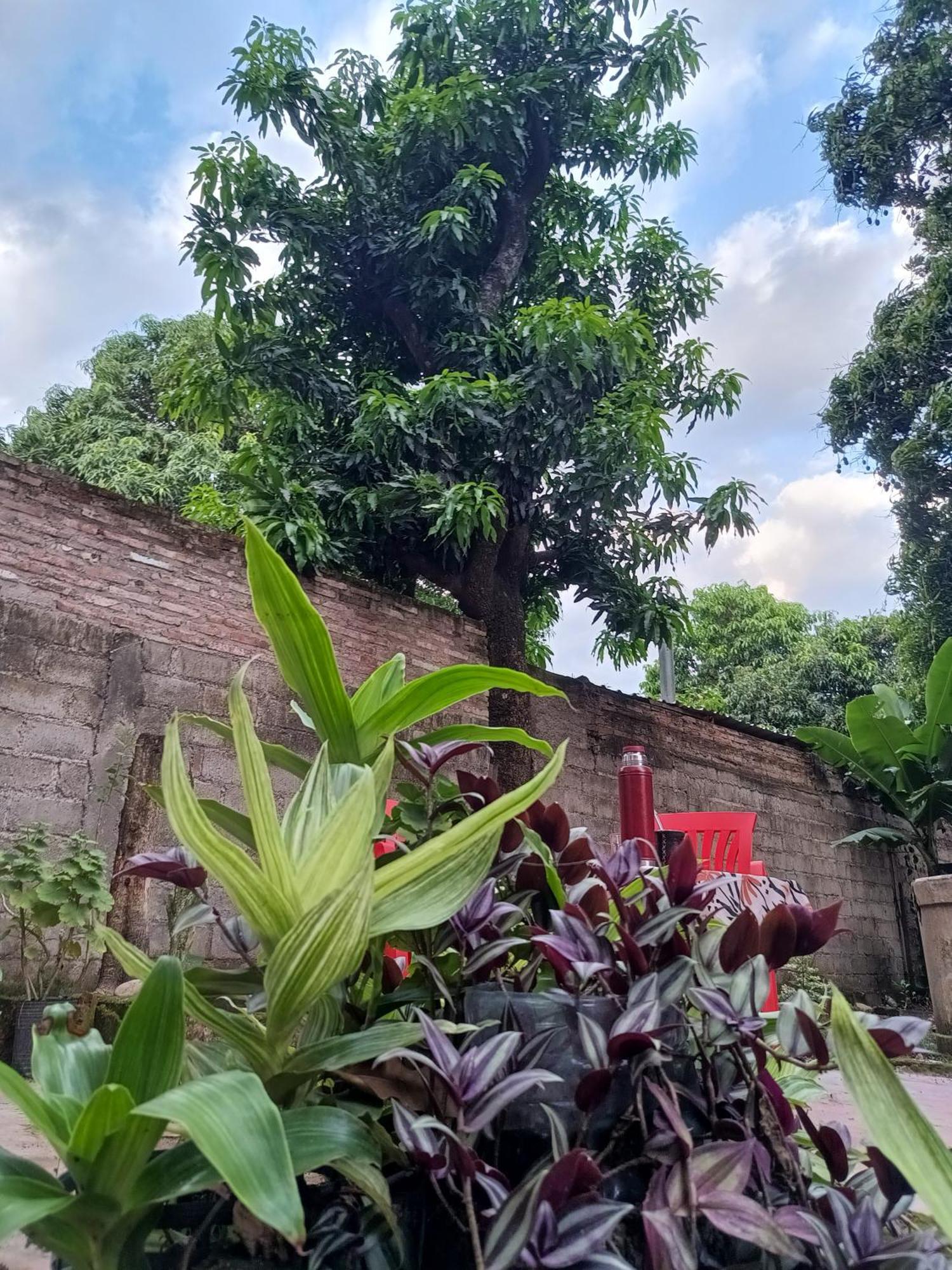 Entre Mangos Y Tucanes Calilegua 外观 照片